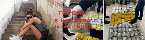 шишки Абаза
