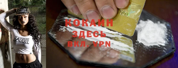 шишки Абаза