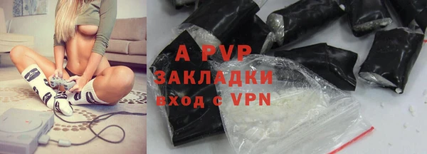 шишки Абаза