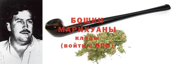 шишки Абаза