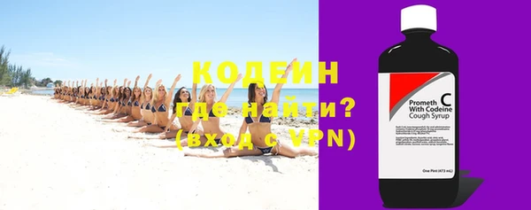 шишки Абаза