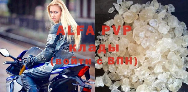 шишки Абаза