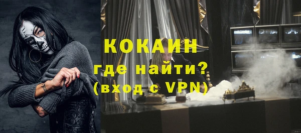 хмурый Пересвет