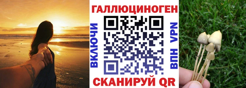 Псилоцибиновые грибы мухоморы Полярный