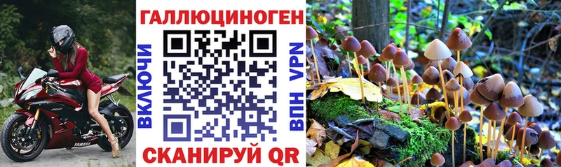 Псилоцибиновые грибы прущие грибы  ссылка на мегу сайт  Полярный 